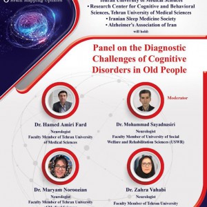 Panel on the Diagnostic Challenges of Cognitive Disorders in Old People